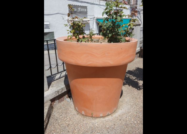 maceta gigante