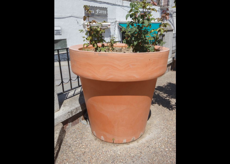 maceta gigante