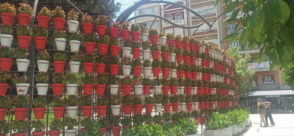 Macetas en la plaza