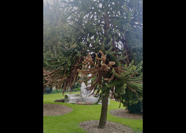 MONUMENTO A JOSÉ MARÍA USANDIZAGA