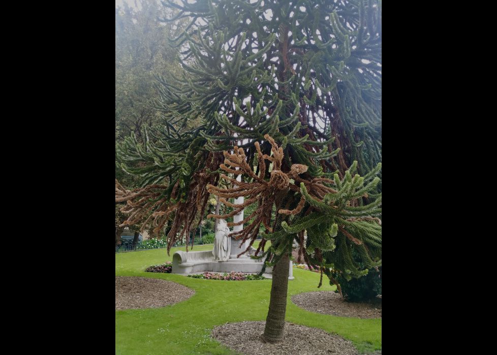 MONUMENTO A JOSÉ MARÍA USANDIZAGA