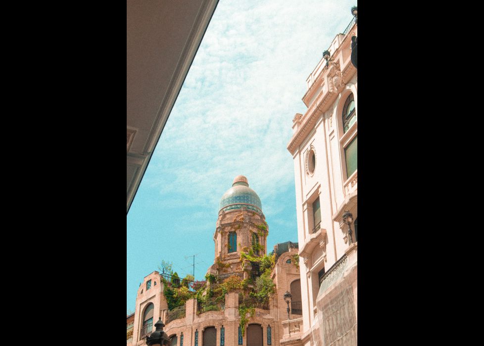 La naturaleza reclama su lugar