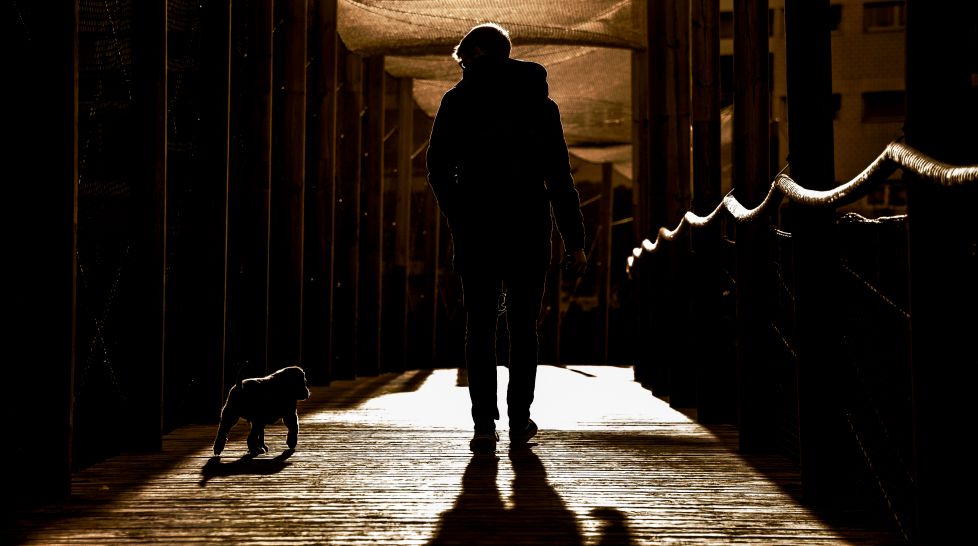 Paseando al atardecer