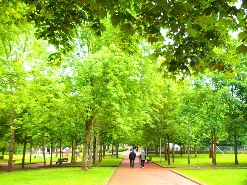 Paseando por el parke