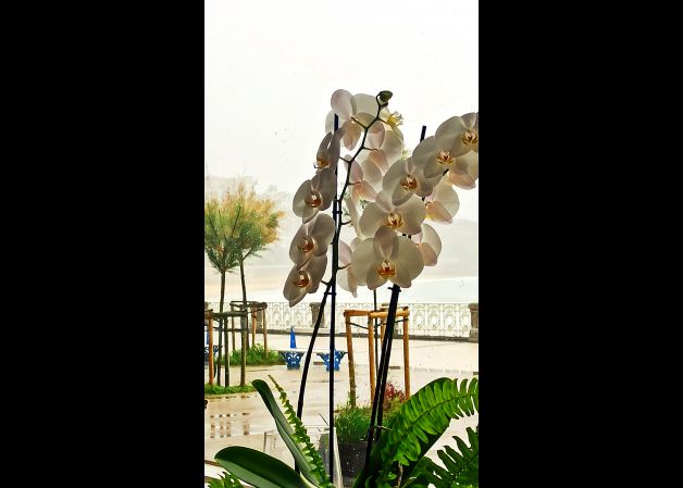 Paseo de la Concha!!