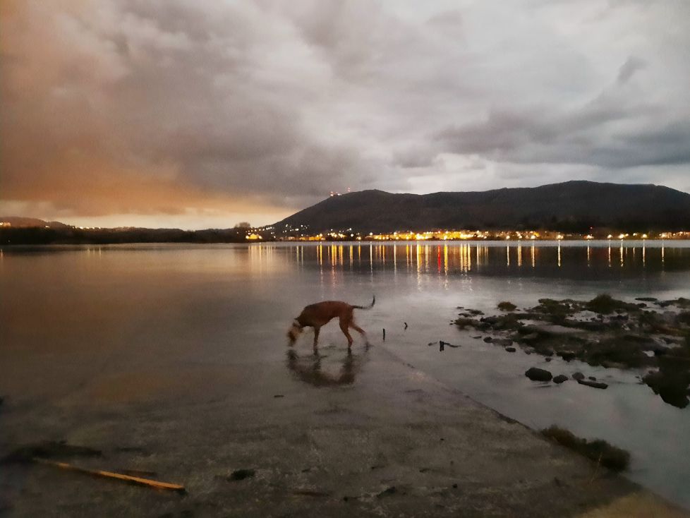 Paseo nocturno donde el río se encuentre cone el mar.
