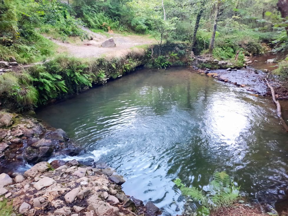 Pequeños oasis descubiertos