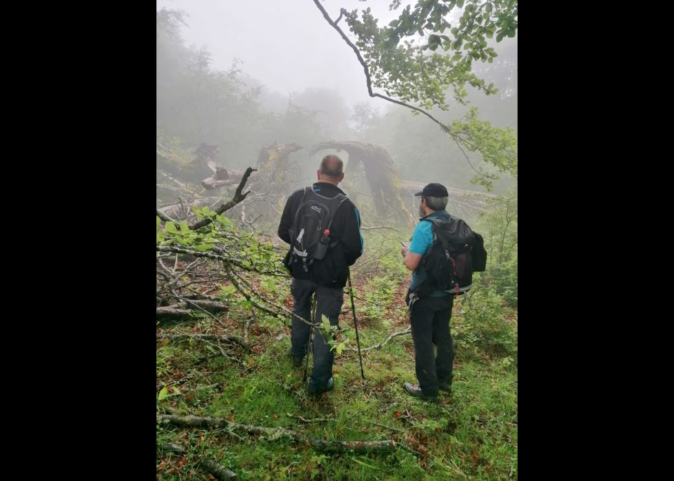 Perdidos en la niebla
