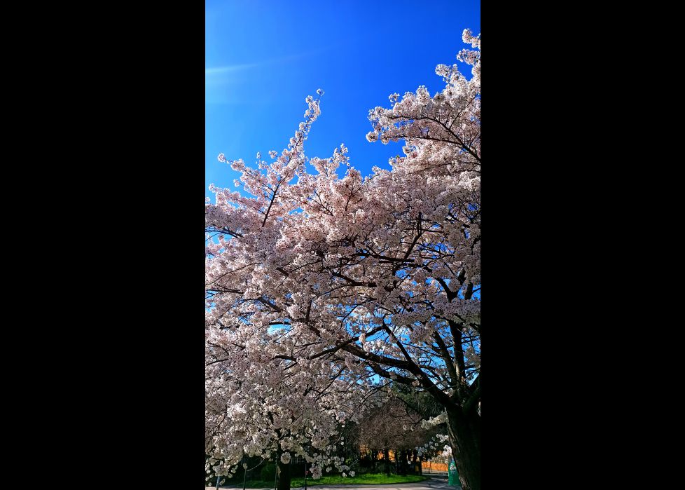 Primavera en Donosti!!