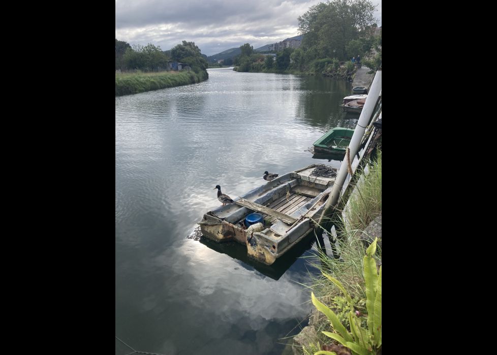 Reflejos de serenidad