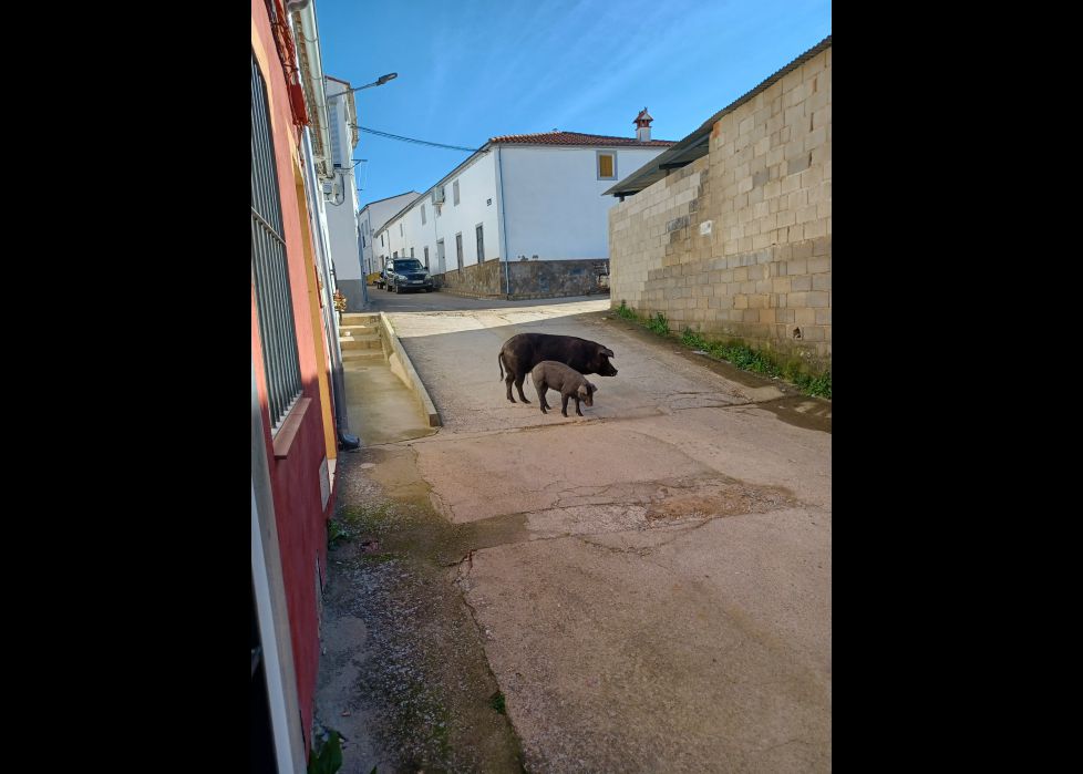 DE RUTA POR EL PUEBLO