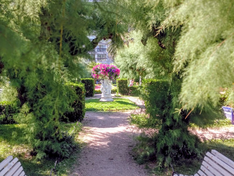 ¡TAMARICES EN ACCIÓN!