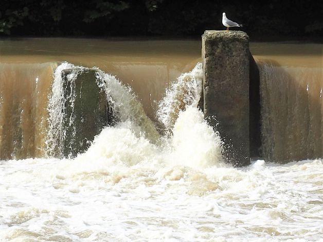 Agua burbujeante sobre el rio.