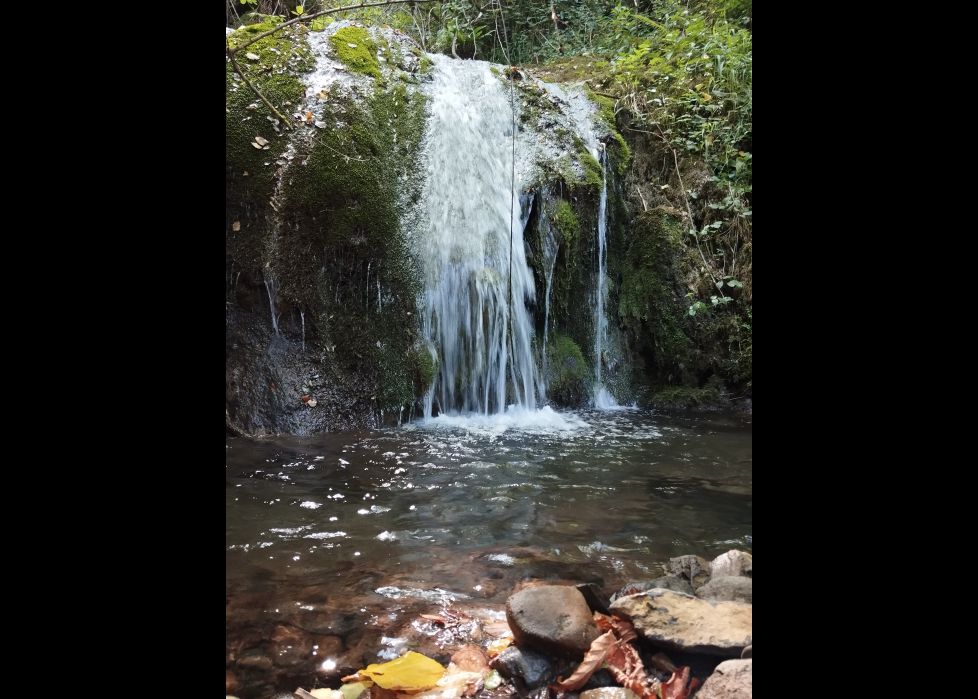 Agua secreta