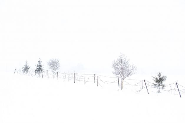 Alambradas en la nieve.