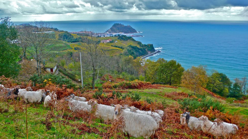 Alto de Santa Bárbara( Zarautz )