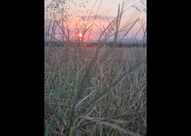 Amanecer en la Rioja