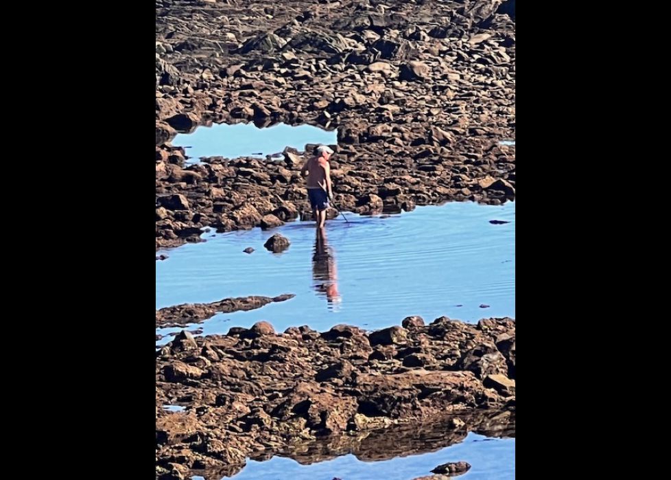 Andaba por aquí  .... 