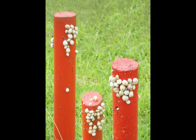 Apartamentos turísticos