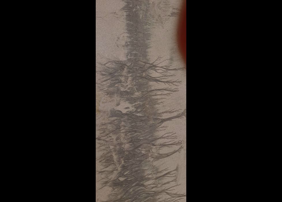 Arte en la arena de la playa.