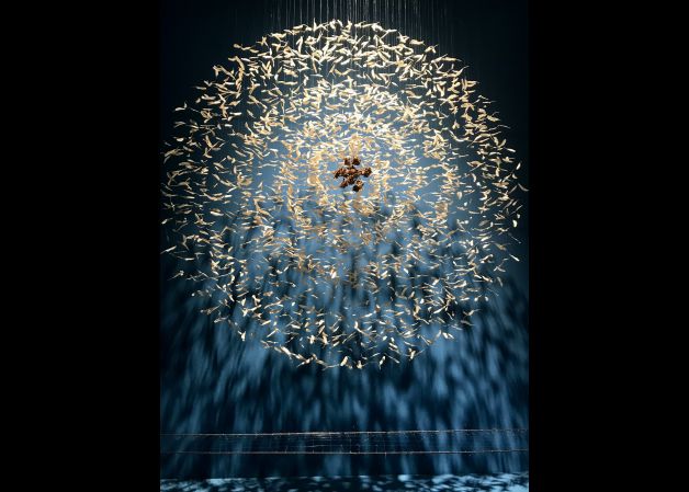 Atrapa sueños de semillas