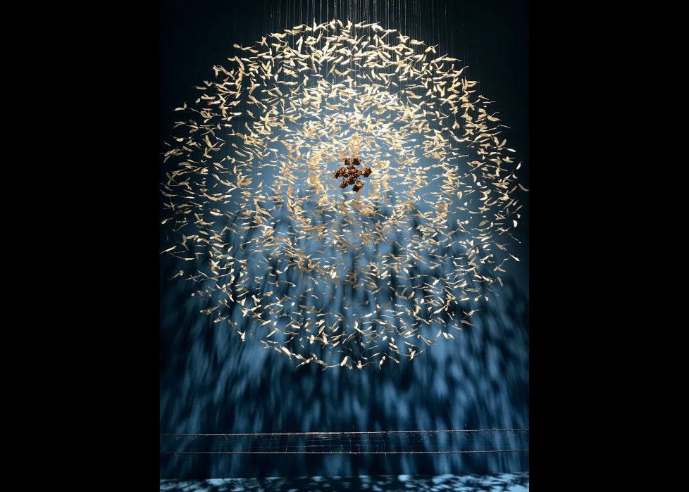 Atrapa sueños de semillas