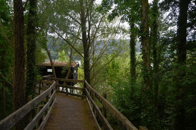 BEGIRATOKIA - MIRADOR