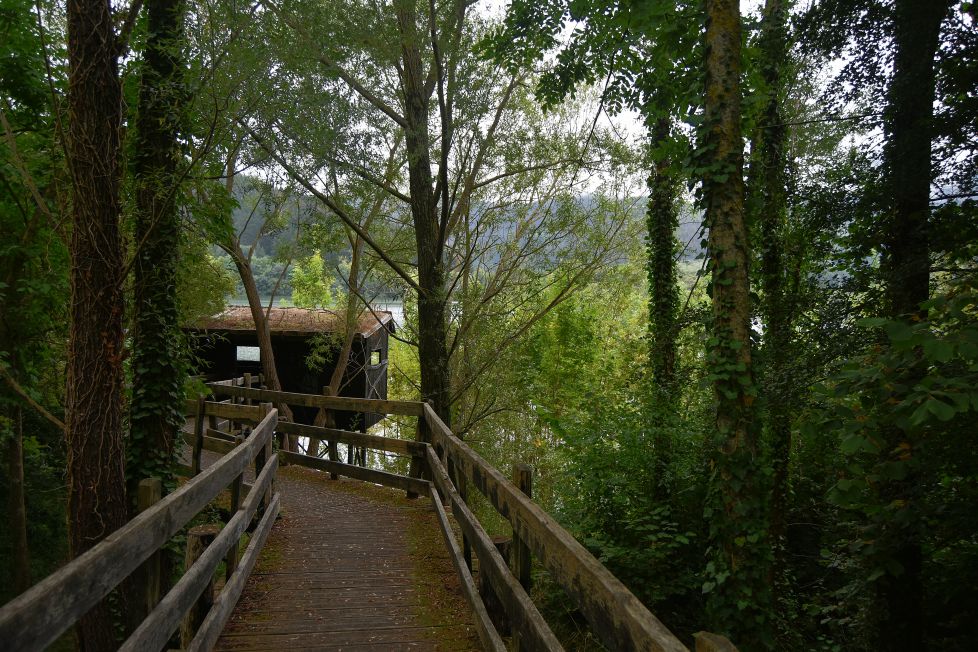 BEGIRATOKIA - MIRADOR