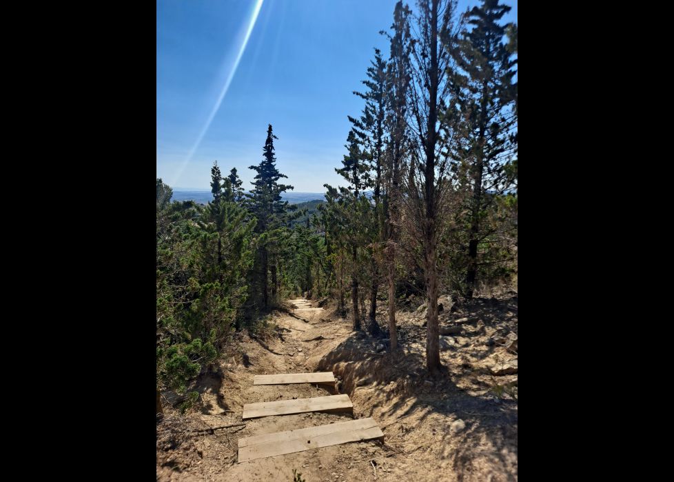 El camino que debía tomar Caperucita Roja