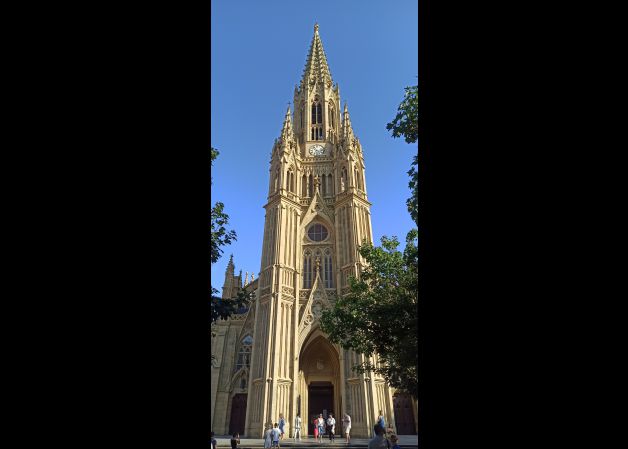 Cátedra del Buen Pastor