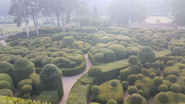 Del jardinero del País de las Maravillas