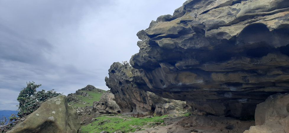 Esculturas naturales en Gipuzkoa.