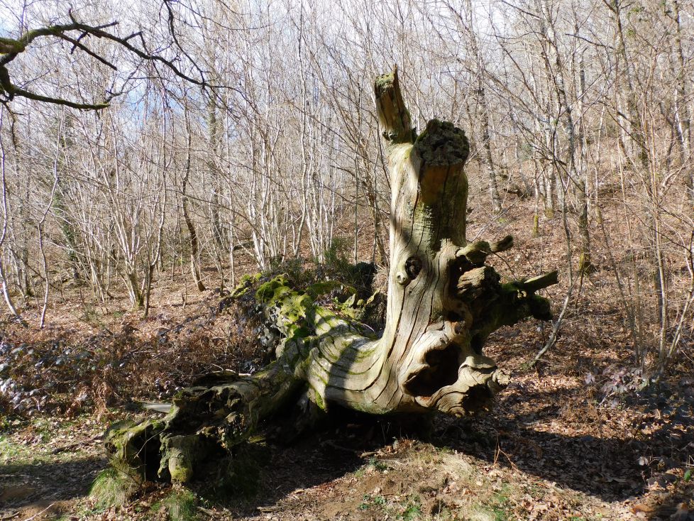 Ese instrumento no lo conozco.