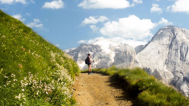 Explorando los senderos