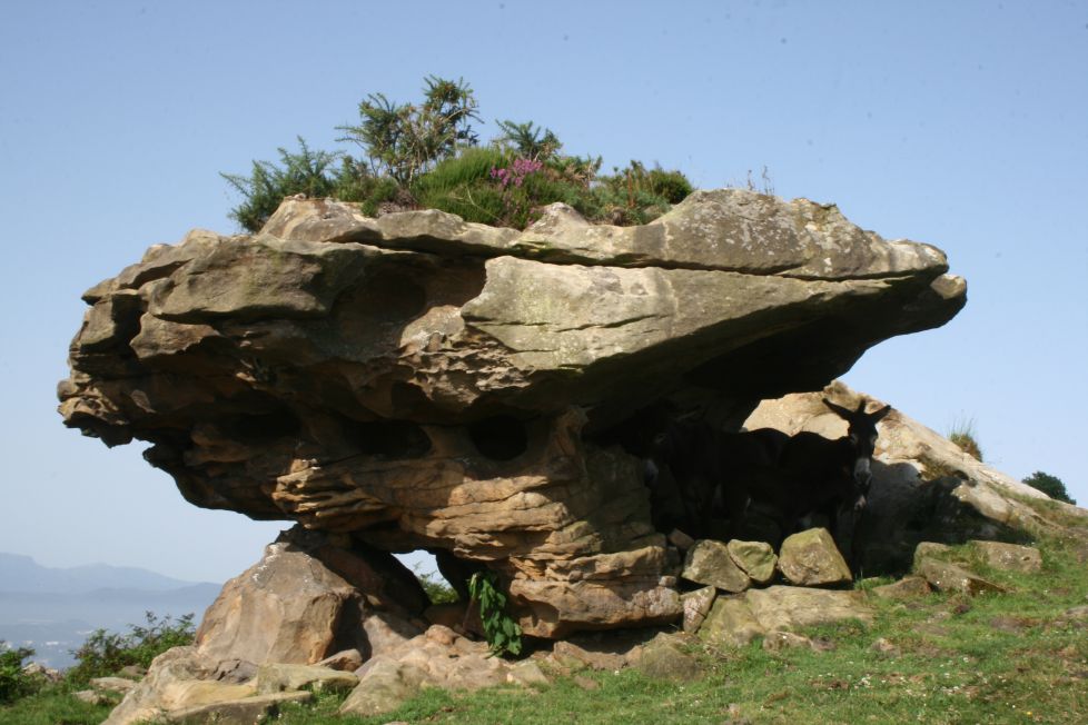 Florero y sombrilla.