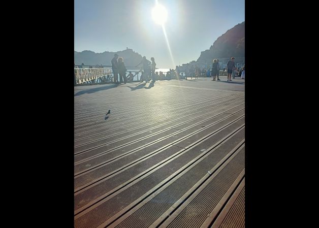 Gorrión en el nautico