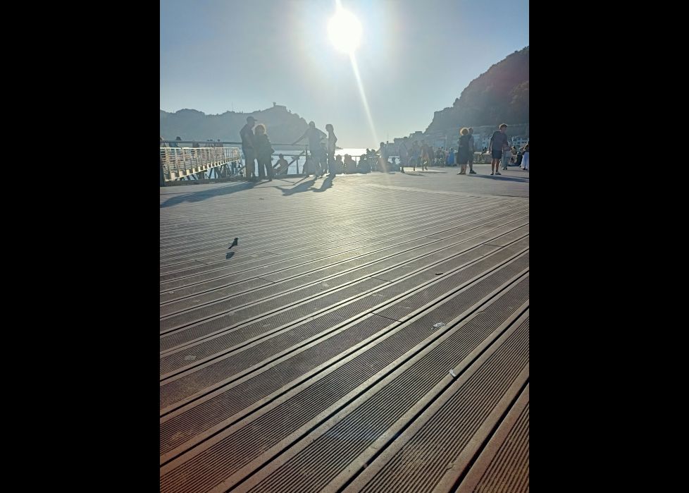 Gorrión en el nautico