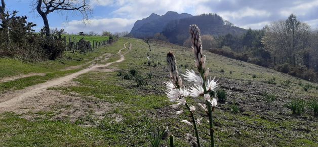 Iniciando la primavera