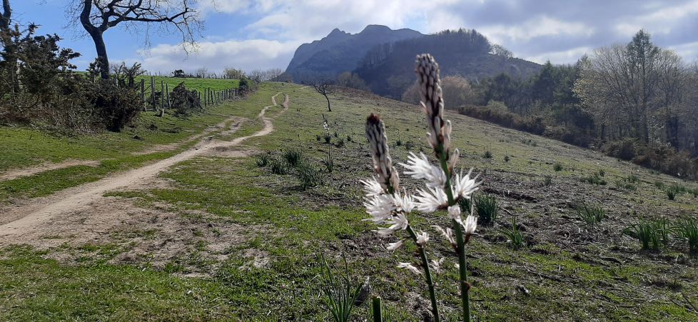 Iniciando la primavera