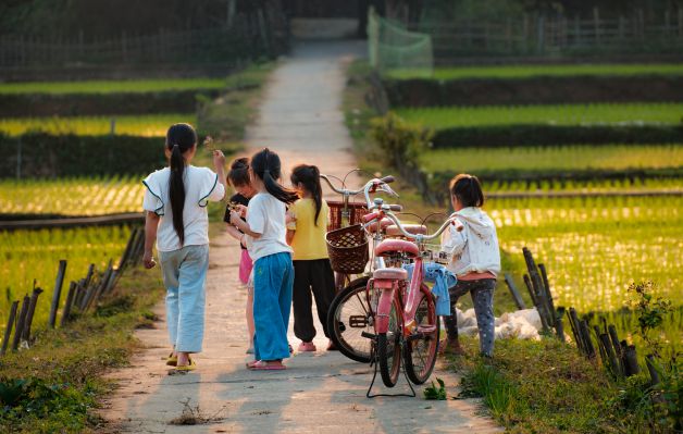 Inteligencia natural