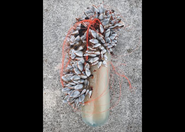 Lanpernak, \"selfie\" moun