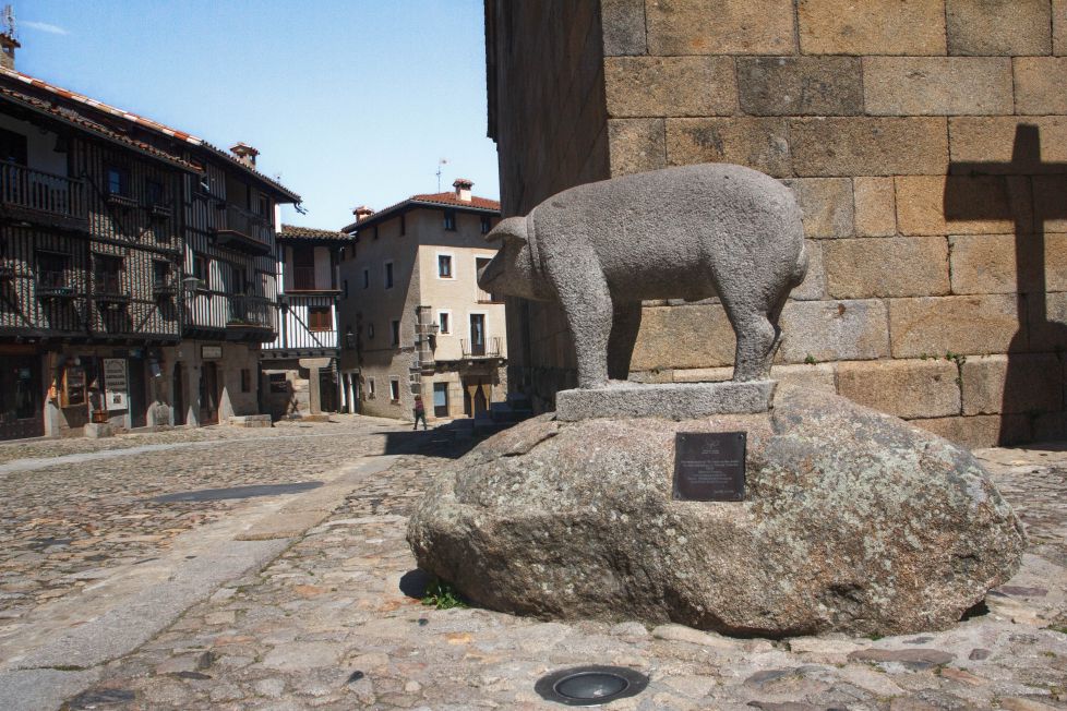 marrano de san anton