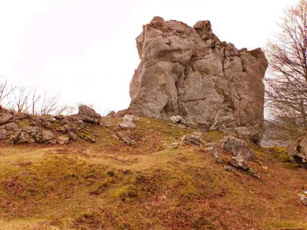 La mejor arquitectura es la Naturaleza.