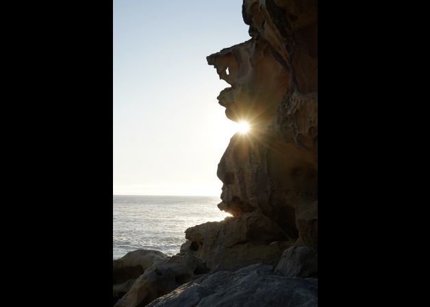 Mirada de la naturaleza