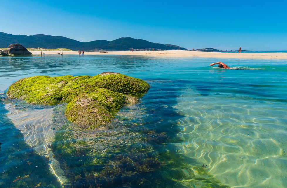 Nadando en el paraiso 