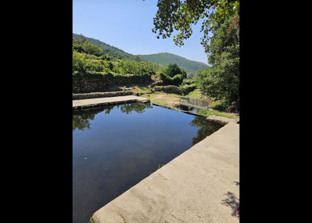 Naturaleza y silencio