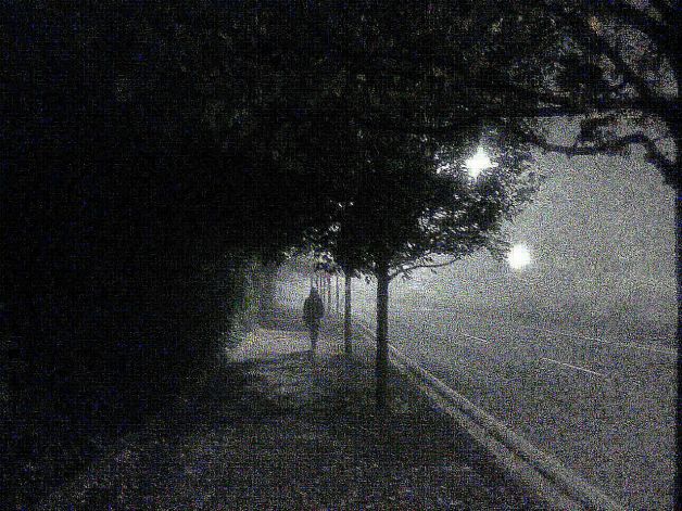 Niebla.