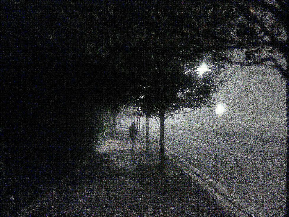 Niebla.
