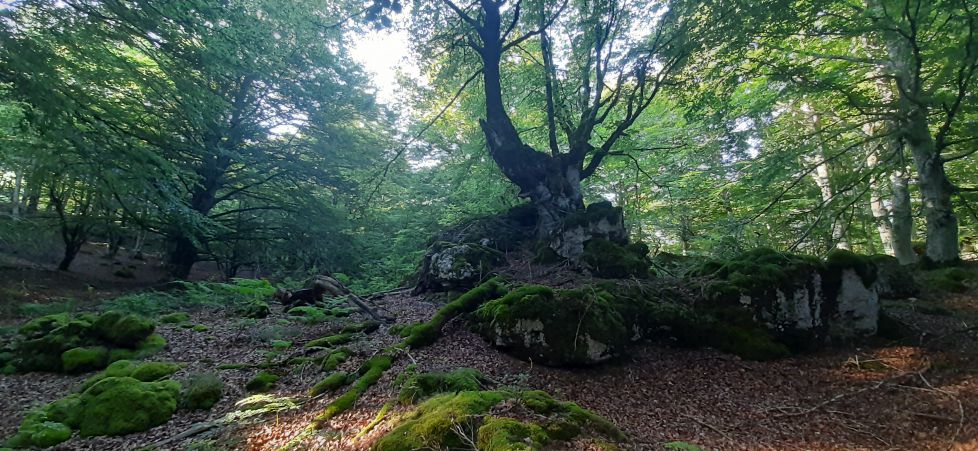 Paisajes increíbles en Álava.
