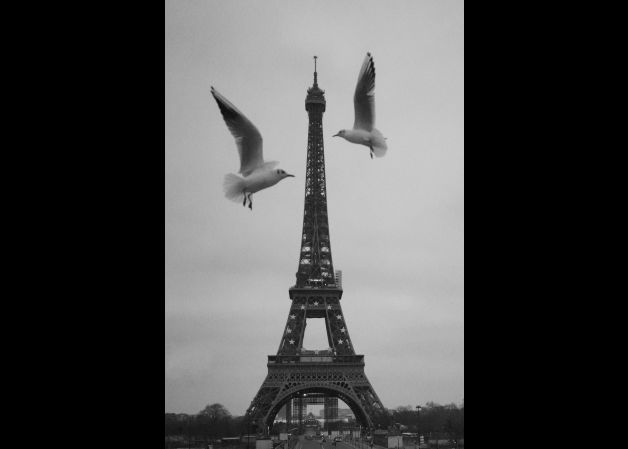 Paris 2024: Vuelo sincronizado